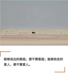 东北小蛮蛮主播照片