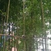 伤害之后的头像