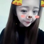 猫九的头像