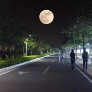休闲阁p