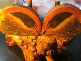 迎风杨帆13aehm主播照片