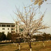 火飞飞j