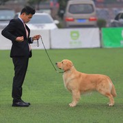 😓毒刺骨😓