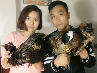 永远666的主播照片