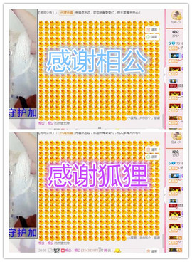 一只傻丹丹い没人疼主播照片