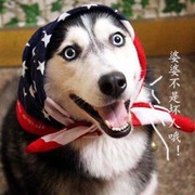 昵称违规，请重新修改