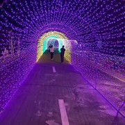 邓小培的小卜卜