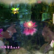 未来梦想8