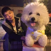 灰太狼lez