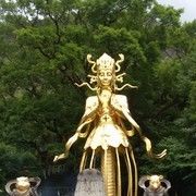 梦、为谁逗留