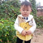 豫G王兴海报