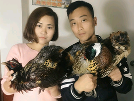 微信_7321800主播照片