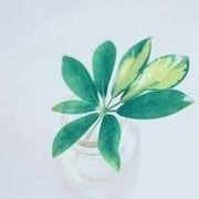 ℡舊城時光的頭像