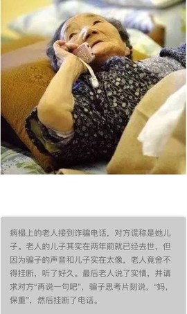 灞桥柳～主播照片