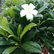 乱了夏天蓝了海1