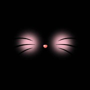 磕着瓜子的猫3的头像