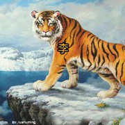 三虎郎君🐅🐅🐅