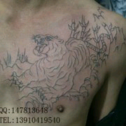 朦胧靓仔主播照片