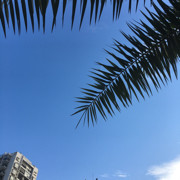 你说过一辈子