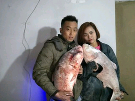 【胜家军】👽色色主播照片