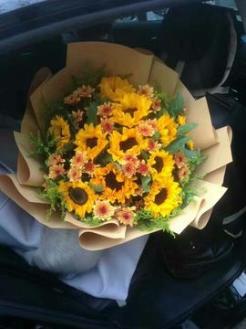 ✨媳婦⭐求🌙帶走✨主播照片