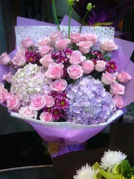 ✨媳婦⭐求🌙帶走✨主播照片