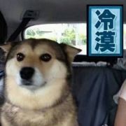 汤汤汤汤汤烫