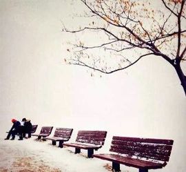 最后的爱是忍住不见你主播照片