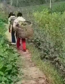 YE，浮沉主播照片