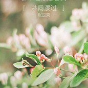 一生有你rr的头像