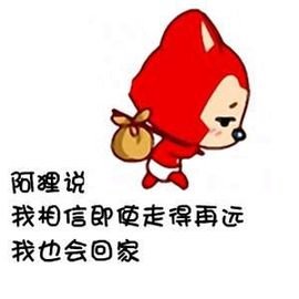 海鸽晚上晚会播主播照片
