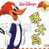 啄木鸟之歌