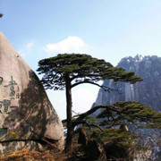 龍腾九州
