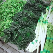 和谐的老公