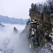 此姑凉、有毒