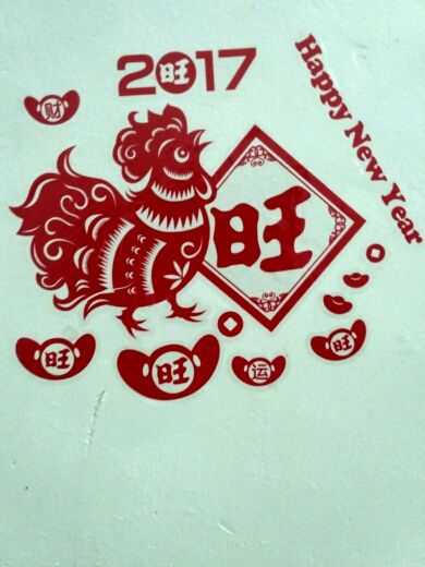 莹莹🍀🍀的主播照片