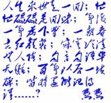 此栏省略主播照片