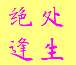 此栏省略主播照片