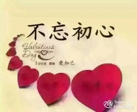 此栏省略主播照片