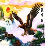 此栏省略主播照片