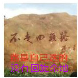 此栏省略主播照片
