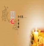 此栏省略主播照片