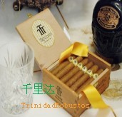 此栏省略主播照片