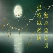 此栏省略主播照片