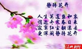 此栏省略主播照片