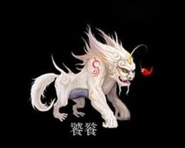 此栏省略主播照片