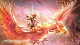 此栏省略主播照片