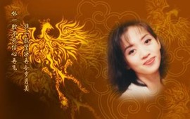 此栏省略主播照片