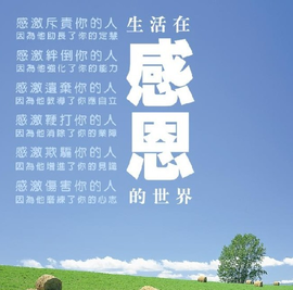 醉，可爱主播照片