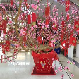 🎵小邓丽君🌺溪儿主播照片
